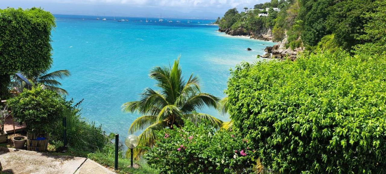 Vue Mer, Piscine, Appartement 4 Personnes ル・ゴジエ エクステリア 写真